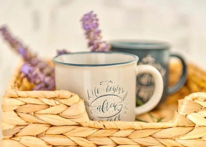 Oceania House With Sea View *